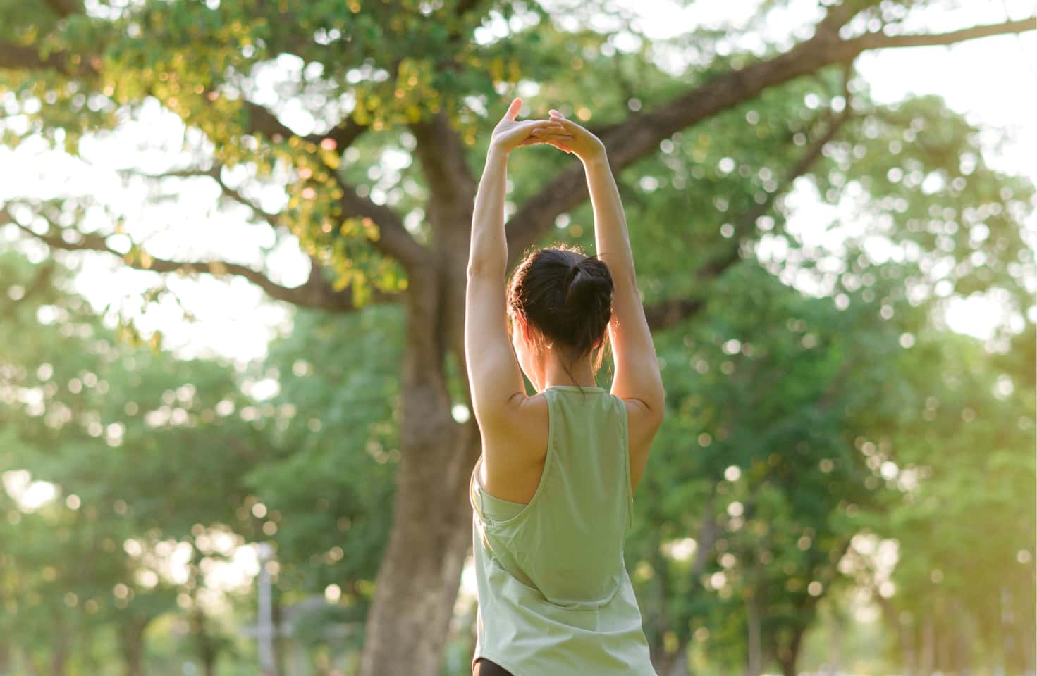 ウェルネス事業（SALUTE）イメージ
